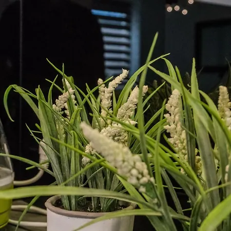 Balbina 1 Apartmán *