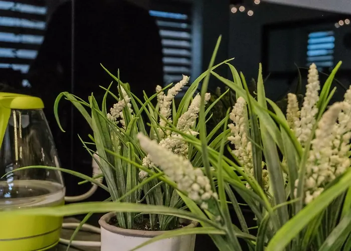 Balbina 1 דירה *